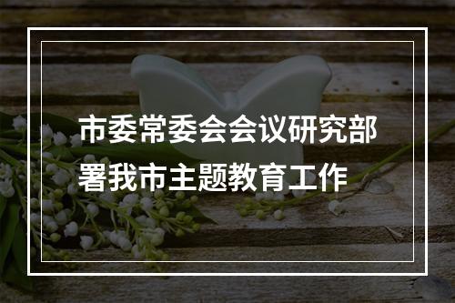 市委常委会会议研究部署我市主题教育工作