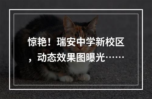 惊艳！瑞安中学新校区，动态效果图曝光……