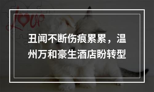 丑闻不断伤痕累累，温州万和豪生酒店盼转型