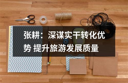 张耕：深谋实干转化优势 提升旅游发展质量