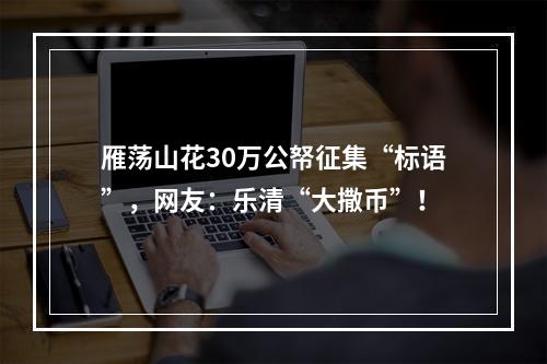 雁荡山花30万公帑征集“标语”，网友：乐清“大撒币”！