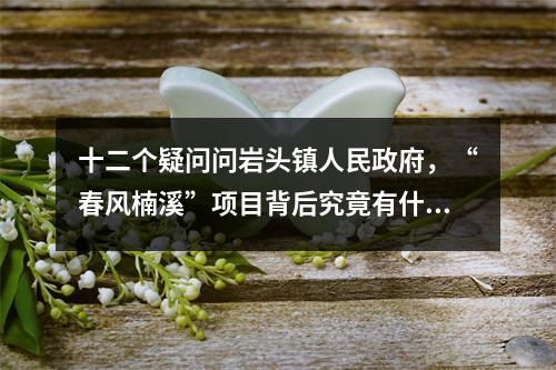 十二个疑问问岩头镇人民政府，“春风楠溪”项目背后究竟有什么不可告人的秘密？