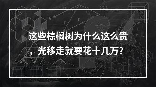 这些棕榈树为什么这么贵，光移走就要花十几万？