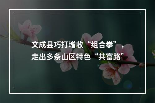文成县巧打增收“组合拳”，走出多条山区特色“共富路”
