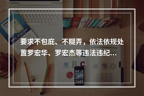 要求不包庇、不糊弄，依法依规处置罗宏华、罗宏杰等违法违纪人员的呼吁