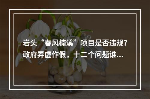 岩头“春风楠溪”项目是否违规？政府弄虚作假，十二个问题谁来解答！