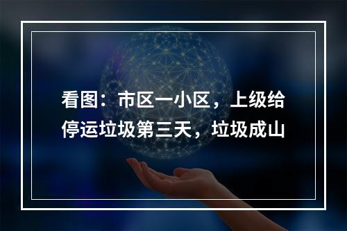 看图：市区一小区，上级给停运垃圾第三天，垃圾成山