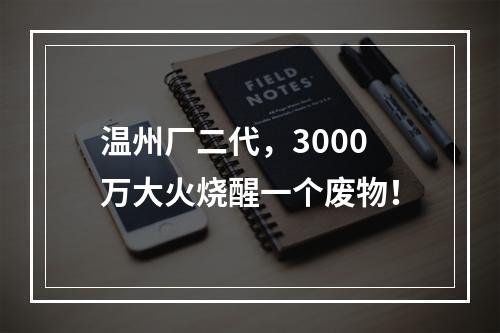 温州厂二代，3000万大火烧醒一个废物！