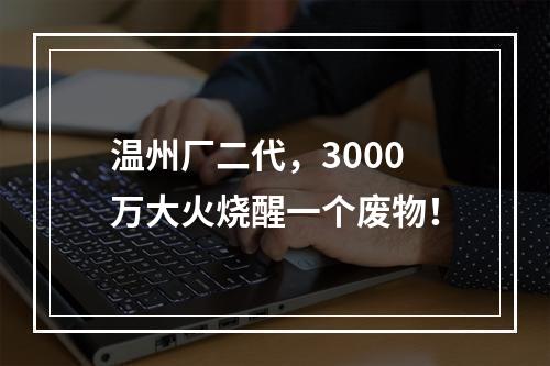 温州厂二代，3000万大火烧醒一个废物！