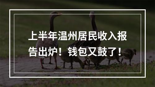 上半年温州居民收入报告出炉！钱包又鼓了！