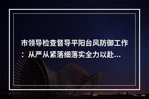 市领导检查督导平阳台风防御工作：从严从紧落细落实全力以赴打赢防汛防台这 ...