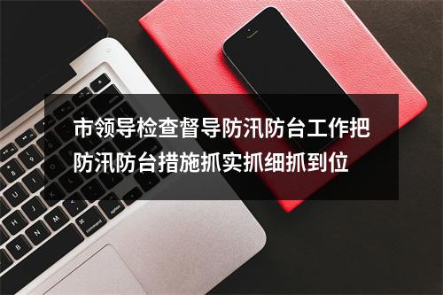 市领导检查督导防汛防台工作把防汛防台措施抓实抓细抓到位