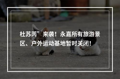 杜苏芮”来袭！永嘉所有旅游景区、户外运动基地暂时关闭！