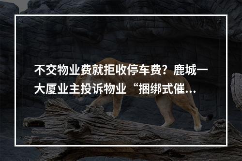 不交物业费就拒收停车费？鹿城一大厦业主投诉物业“捆绑式催收”！你怎么看？