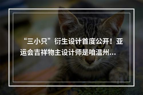 “三小只”衍生设计首度公开！亚运会吉祥物主设计师是咱温州人