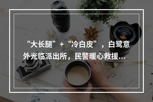 “大长腿”+“冷白皮”，白鹭意外光临派出所，民警暖心救援...
