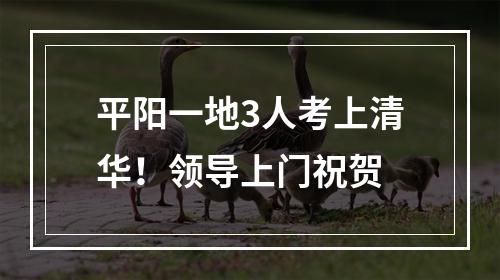平阳一地3人考上清华！领导上门祝贺