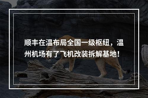 顺丰在温布局全国一级枢纽，温州机场有了飞机改装拆解基地！