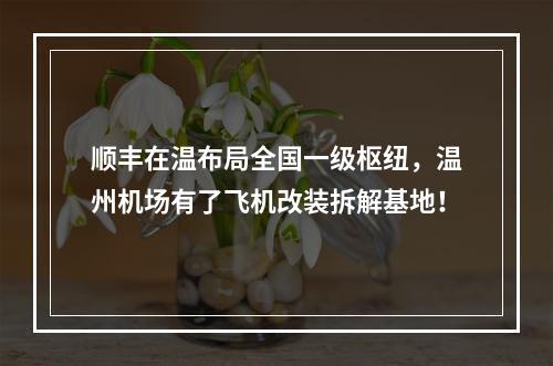 顺丰在温布局全国一级枢纽，温州机场有了飞机改装拆解基地！