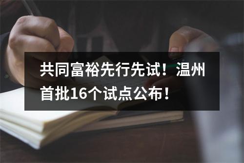共同富裕先行先试！温州首批16个试点公布！