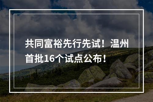 共同富裕先行先试！温州首批16个试点公布！