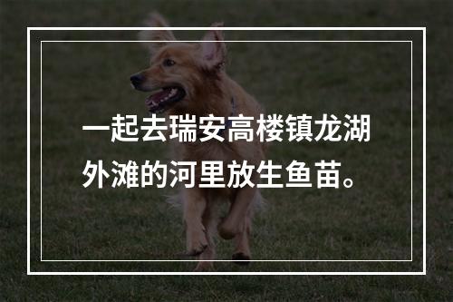 一起去瑞安高楼镇龙湖外滩的河里放生鱼苗。