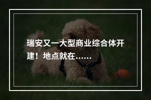 瑞安又一大型商业综合体开建！地点就在......