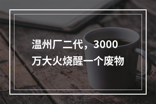 温州厂二代，3000万大火烧醒一个废物