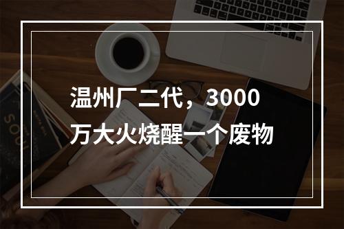 温州厂二代，3000万大火烧醒一个废物