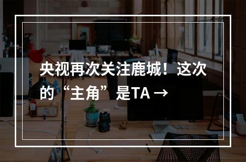 央视再次关注鹿城！这次的“主角”是TA →