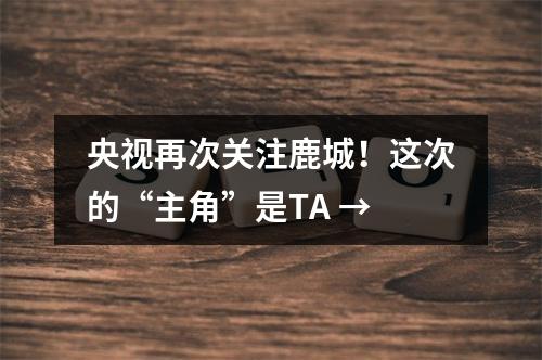 央视再次关注鹿城！这次的“主角”是TA →