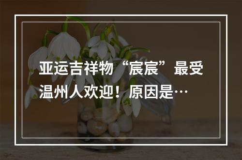 亚运吉祥物“宸宸”最受温州人欢迎！原因是…
