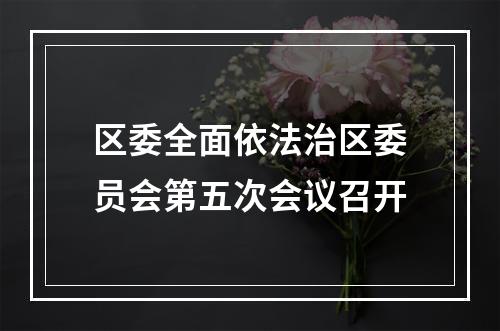 区委全面依法治区委员会第五次会议召开