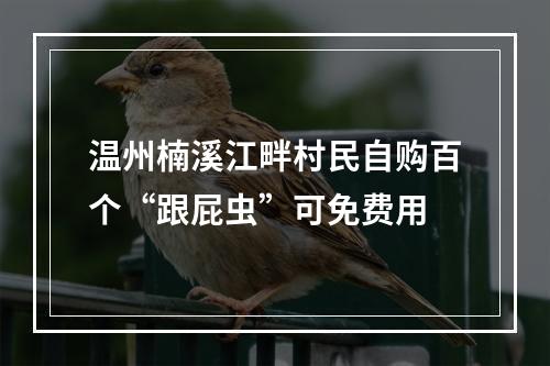 温州楠溪江畔村民自购百个“跟屁虫”可免费用
