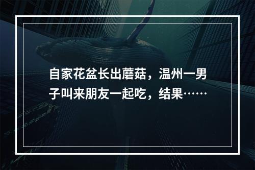 自家花盆长出蘑菇，温州一男子叫来朋友一起吃，结果……