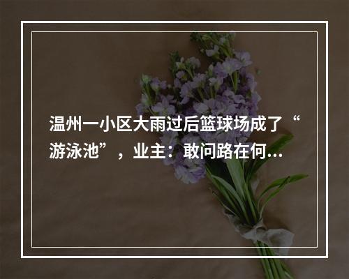 温州一小区大雨过后篮球场成了“游泳池”，业主：敢问路在何方？属地社区：抓紧办！