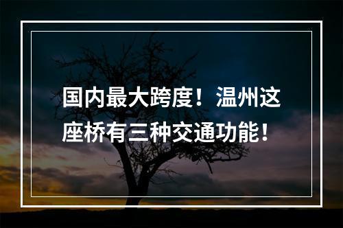 国内最大跨度！温州这座桥有三种交通功能！