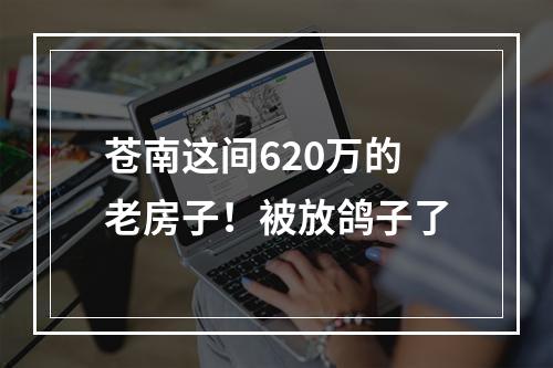 苍南这间620万的老房子！被放鸽子了