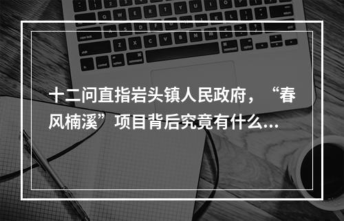 十二问直指岩头镇人民政府，“春风楠溪”项目背后究竟有什么不可告人的秘密？