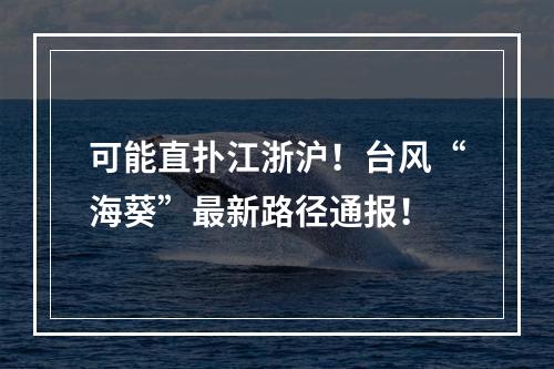 可能直扑江浙沪！台风“海葵”最新路径通报！