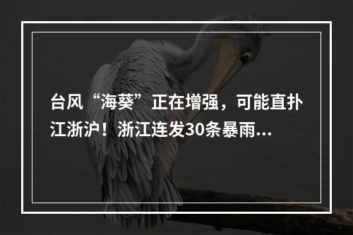 台风“海葵”正在增强，可能直扑江浙沪！浙江连发30条暴雨预警