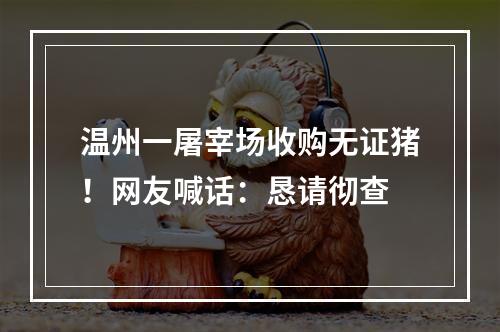 温州一屠宰场收购无证猪！网友喊话：恳请彻查