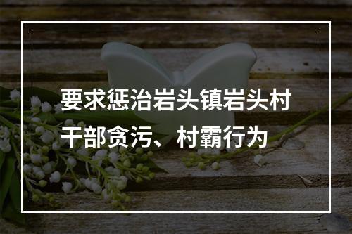 要求惩治岩头镇岩头村干部贪污、村霸行为