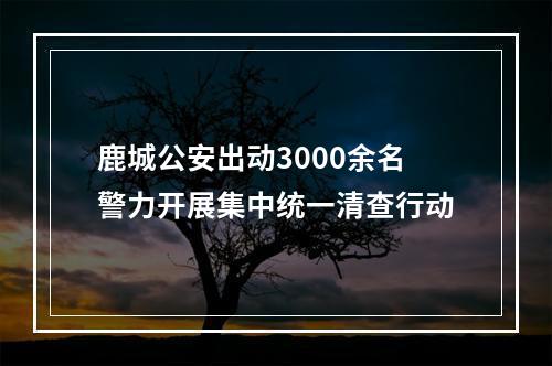 鹿城公安出动3000余名警力开展集中统一清查行动