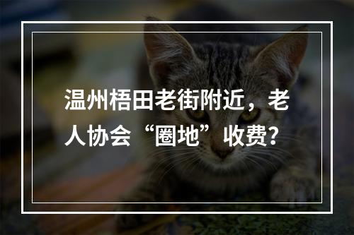 温州梧田老街附近，老人协会“圈地”收费？