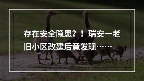存在安全隐患？！瑞安一老旧小区改建后竟发现……