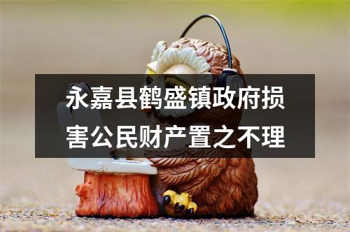 永嘉县鹤盛镇政府损害公民财产置之不理