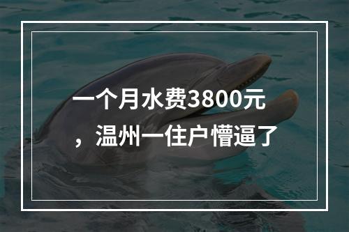 一个月水费3800元，温州一住户懵逼了