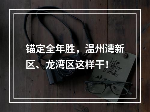 锚定全年胜，温州湾新区、龙湾区这样干！