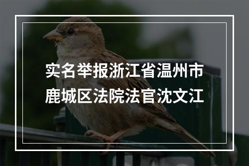 实名举报浙江省温州市鹿城区法院法官沈文江